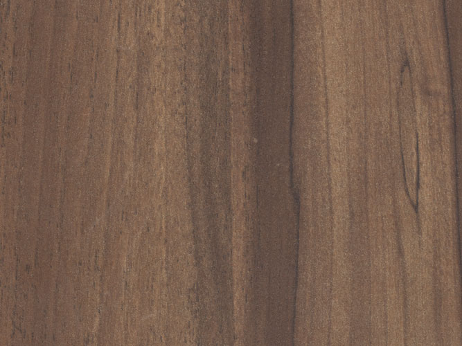 Olive Wood